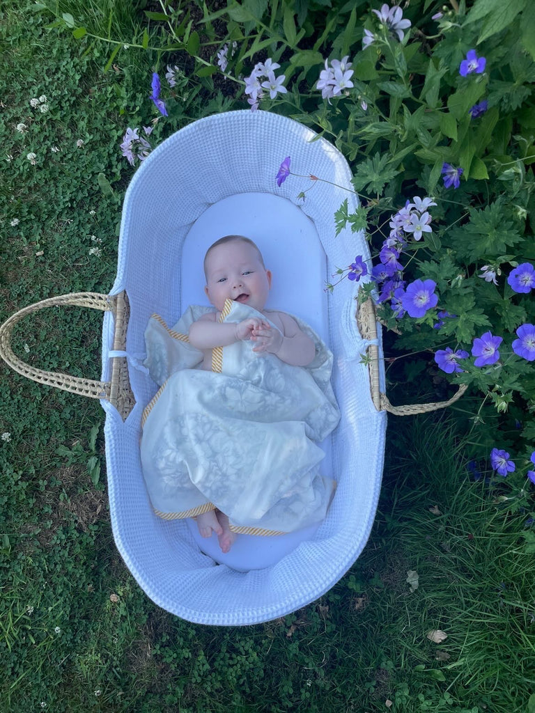 baby in moses basket with baby dohar