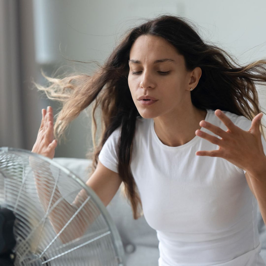 lady with fan 