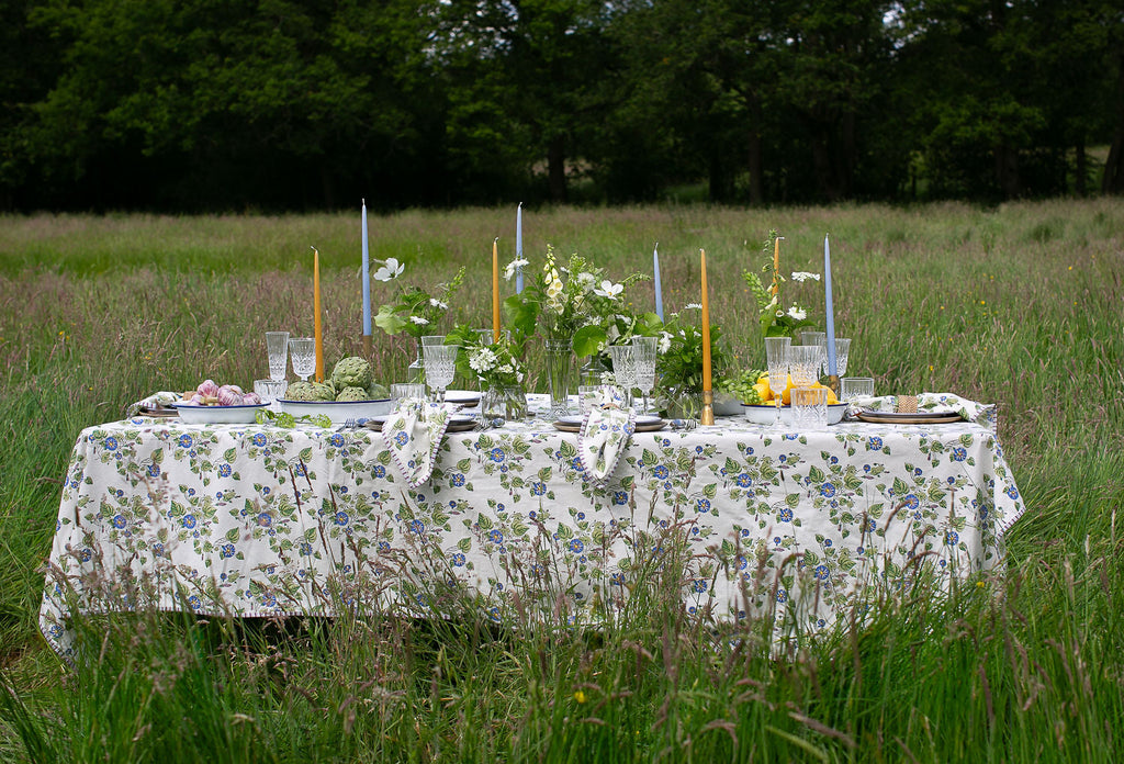 table set up for lunch in a field 