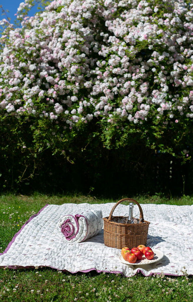 picnic blanket in garden with a climbing rose in flower in the background