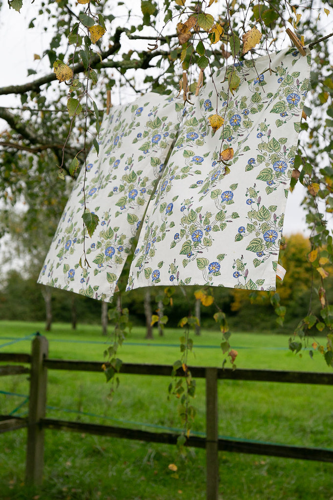 two tea towels on a washing line