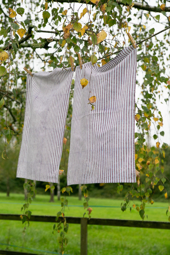 Two striped tea towels on a washing line