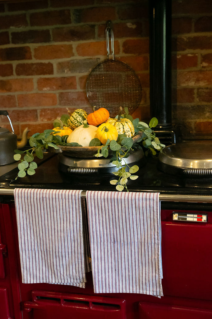 2 striped tea towels on a Aga